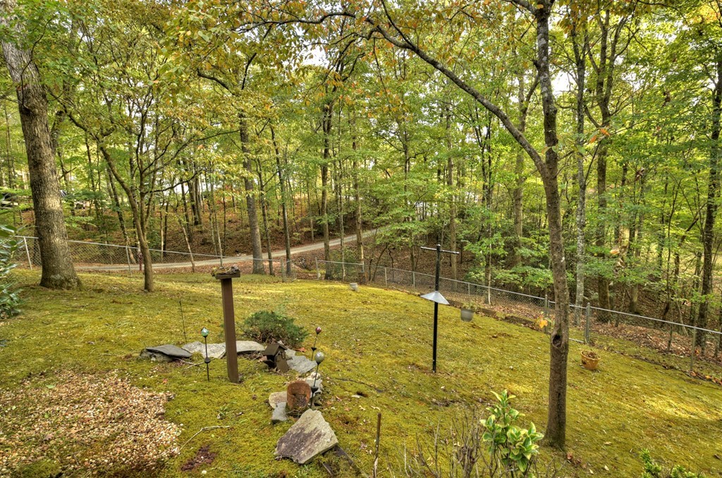 112 Songbird Avenue Blue Ridge, GA 30513 - Photo 8 of 47 Gallery Image 8