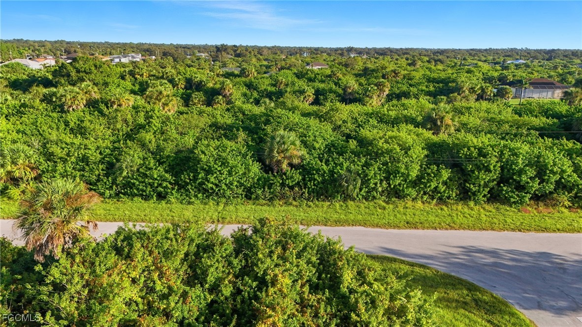 346 Rutland Circle Port Charlotte, FL 33954 - Photo 16 of 22 a view of a yard with a street