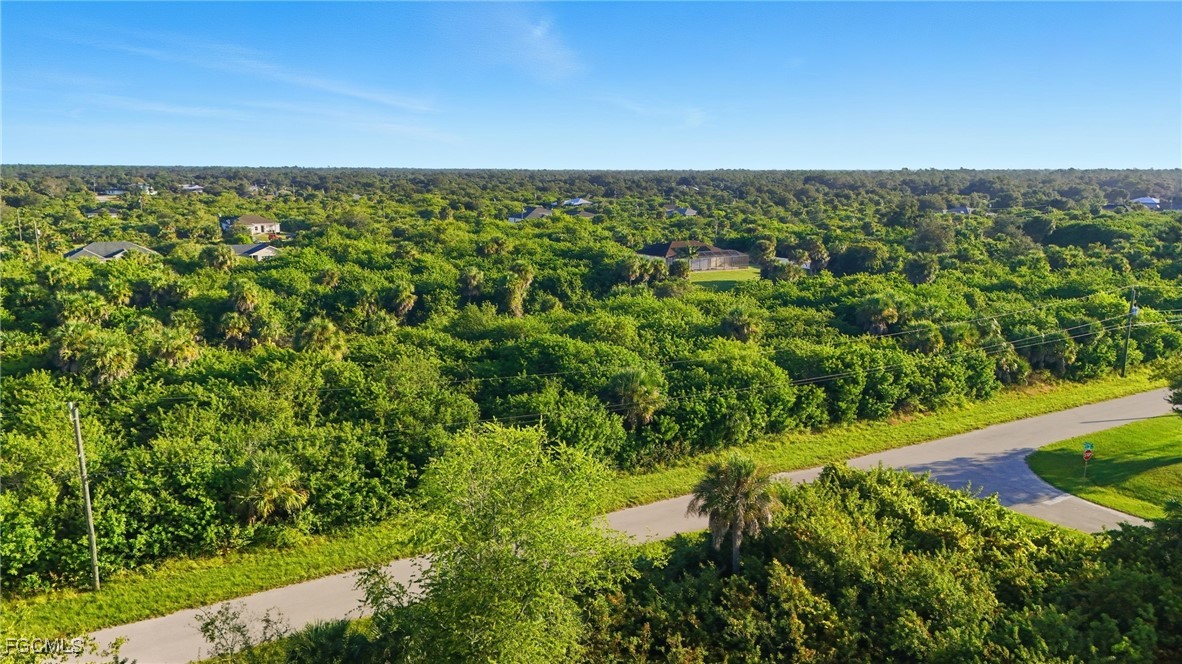 346 Rutland Circle Port Charlotte, FL 33954 - Photo 19 of 22 a view of a yard