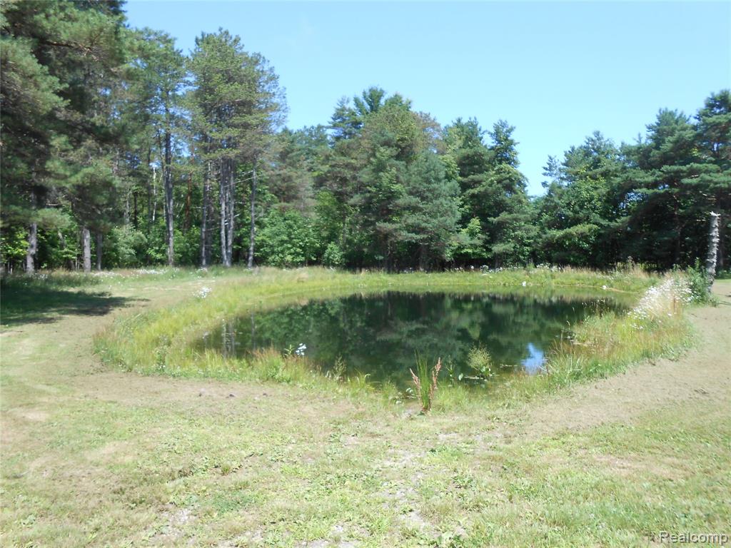 0 Snover Road Sandusky, MI 48471 - Photo 1 of 10