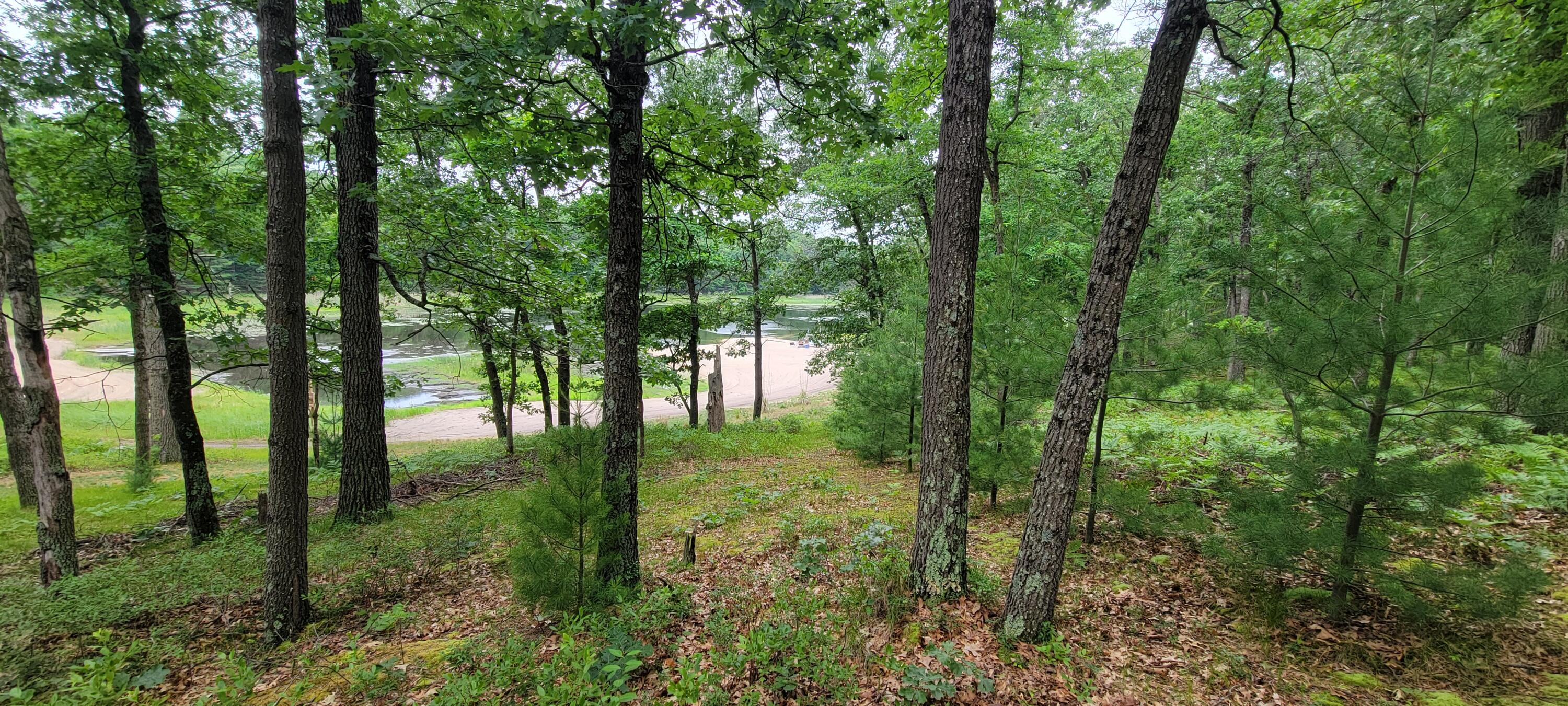 11237 South Rabbit Road Baldwin, MI 49304 - Photo 29 of 57 20250627_133829