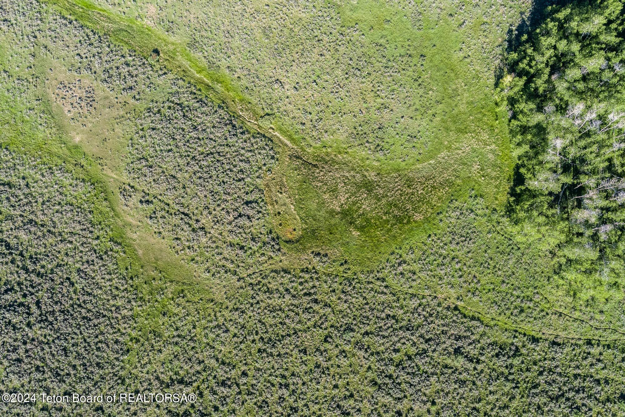 Tbd Carroll Lane Daniel, WY 83115 - Photo 13 of 43 MAX_0273