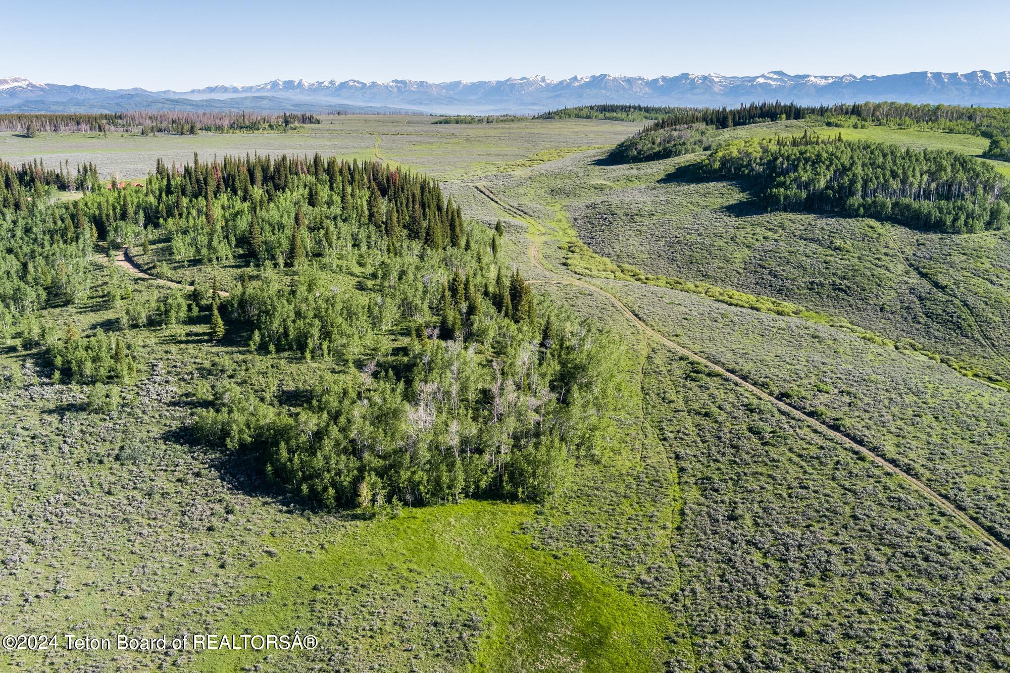 Tbd Carroll Lane Daniel, WY 83115 - Photo 15 of 43 MAX_0275