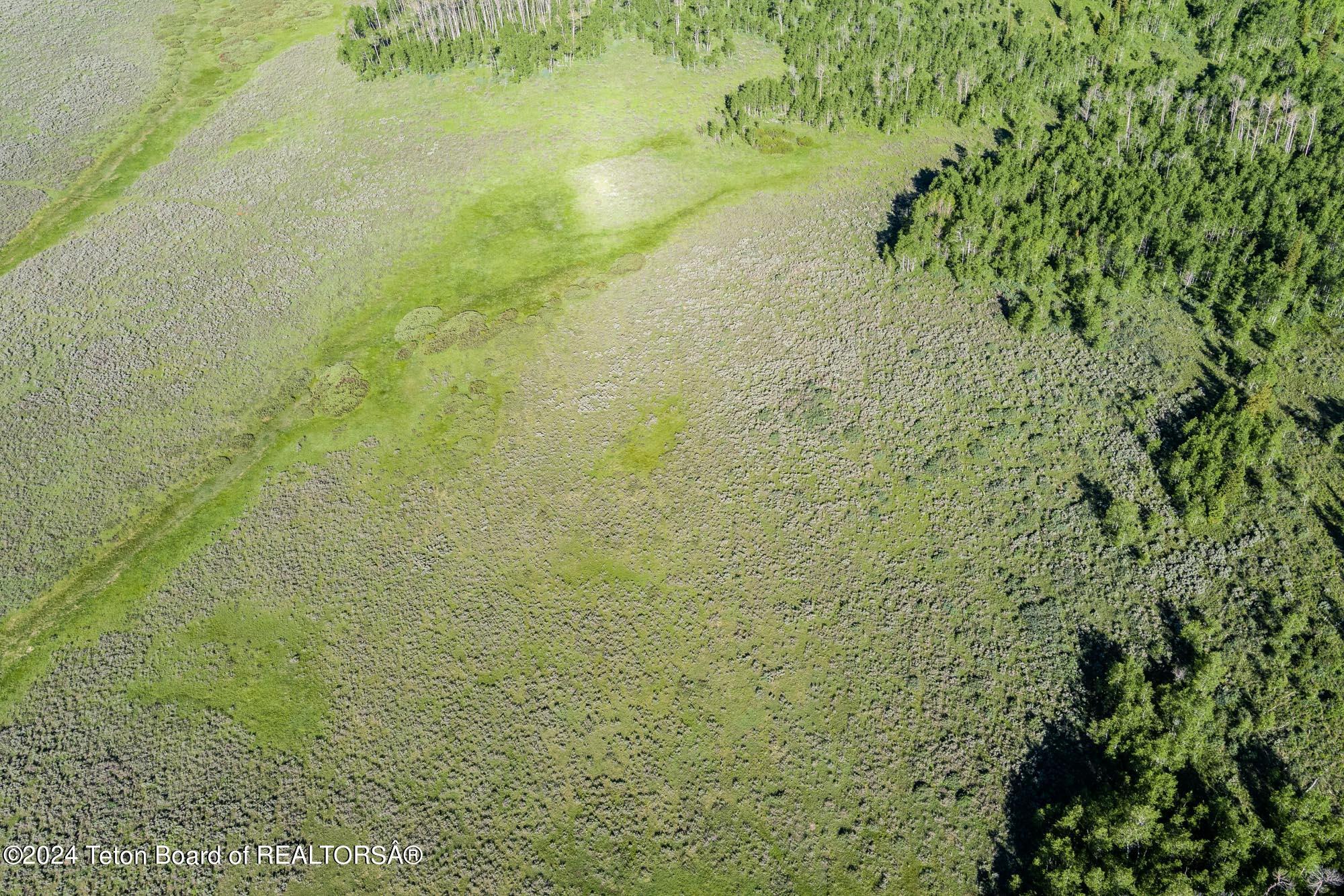Tbd Carroll Lane Daniel, WY 83115 - Photo 16 of 43 MAX_0274