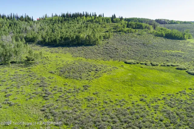 $375,000 | Tbd Carroll Lane, Daniel, WY 83115