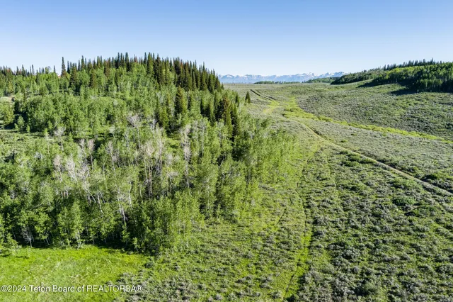 $375,000 | Tbd Carroll Lane, Daniel, WY 83115
