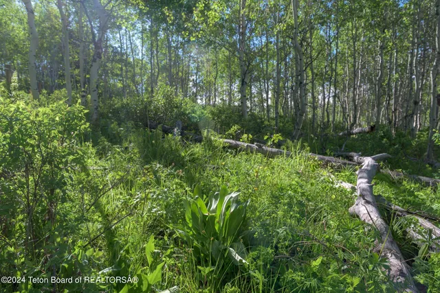 $375,000 | Tbd Carroll Lane, Daniel, WY 83115