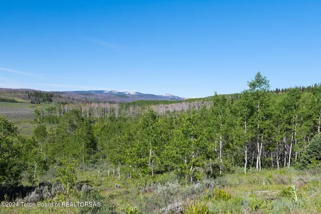 $375,000 | Tbd Carroll Lane, Daniel, WY 83115