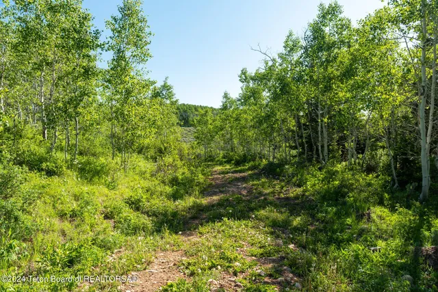 $375,000 | Tbd Carroll Lane, Daniel, WY 83115