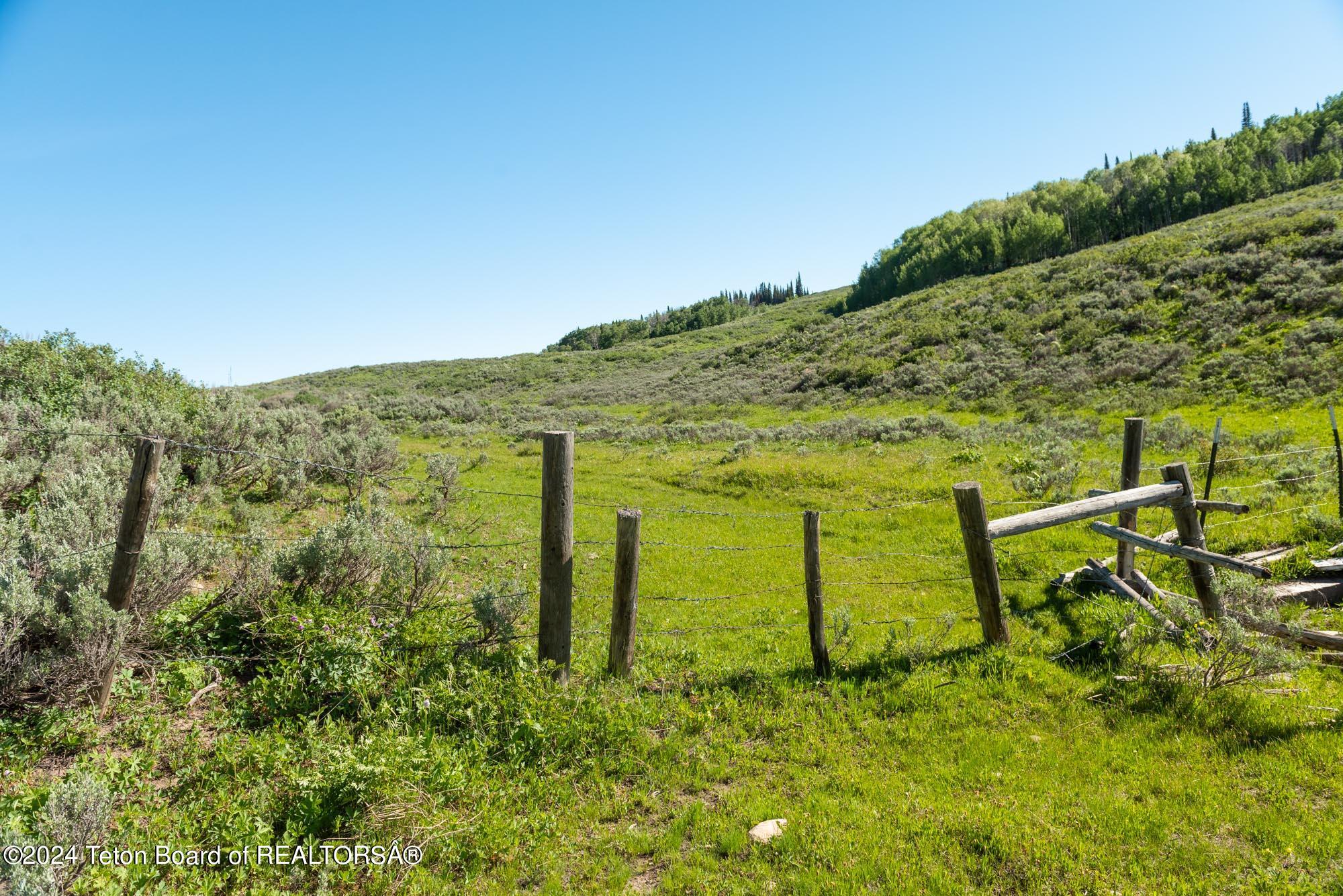 Tbd Carroll Lane Daniel, WY 83115 - Photo 25 of 43 DSC_3998