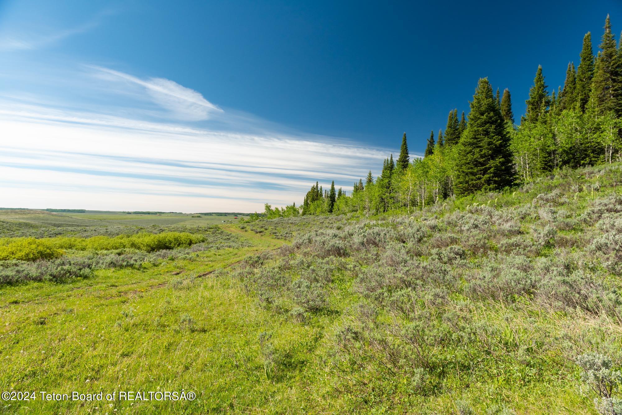 Tbd Carroll Lane Daniel, WY 83115 - Photo 26 of 43 DSC_4001
