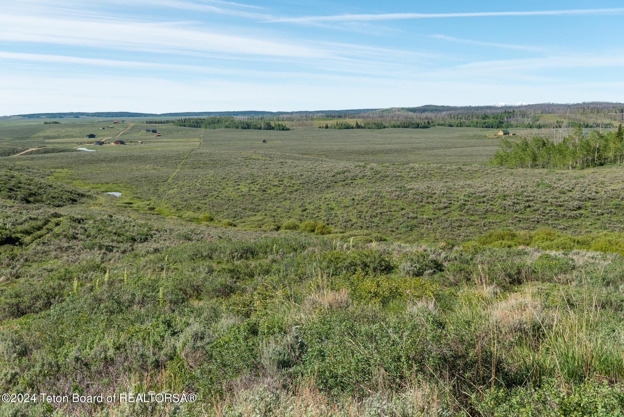 Tbd Carroll Lane Daniel, WY 83115 - Photo 32 of 43 DSC_4031