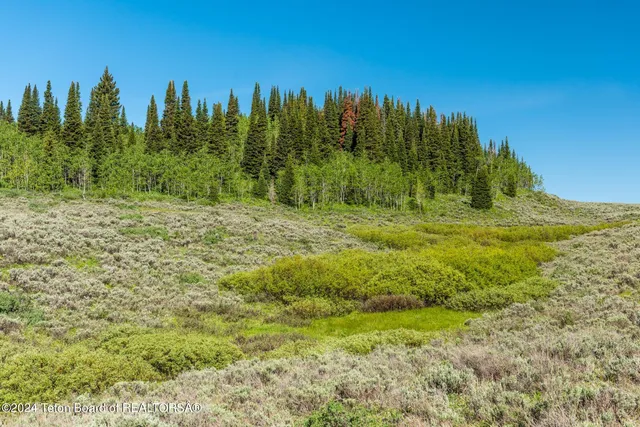 $375,000 | Tbd Carroll Lane, Daniel, WY 83115