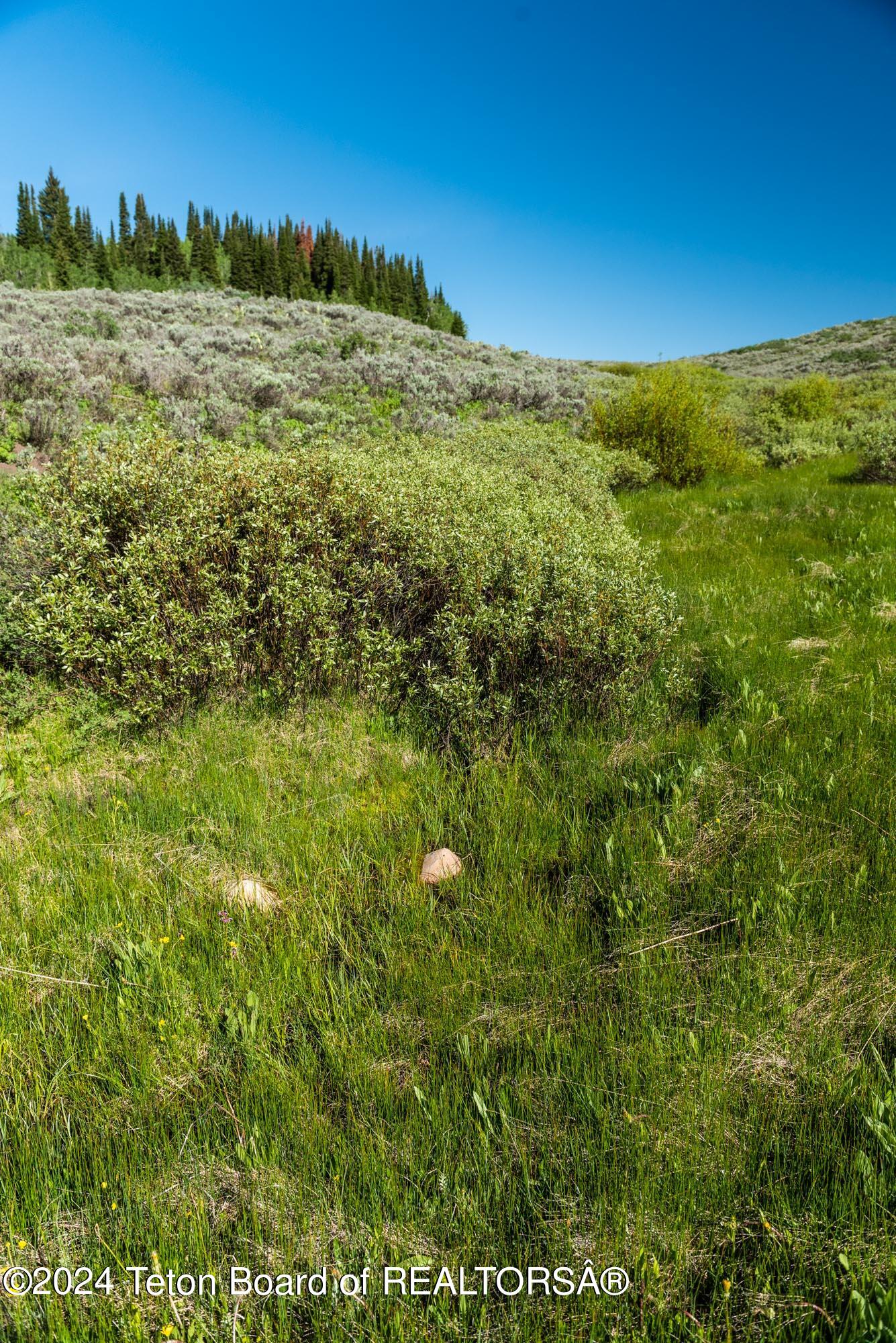 Tbd Carroll Lane Daniel, WY 83115 - Photo 34 of 43 DSC_4034