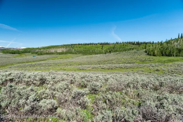 $375,000 | Tbd Carroll Lane, Daniel, WY 83115