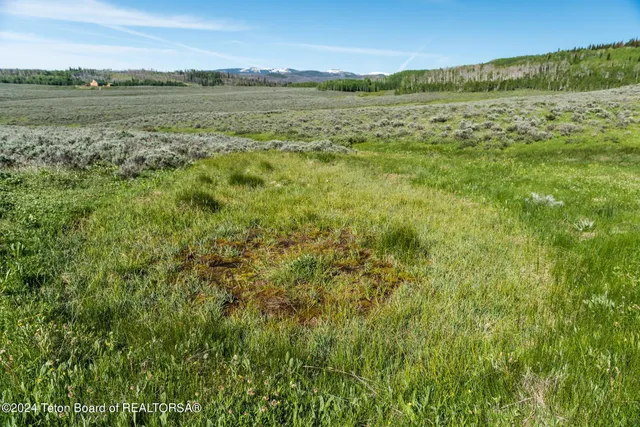 $375,000 | Tbd Carroll Lane, Daniel, WY 83115