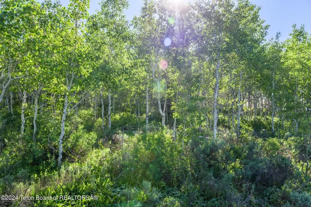 $375,000 | Tbd Carroll Lane, Daniel, WY 83115