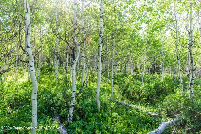 $375,000 | Tbd Carroll Lane, Daniel, WY 83115