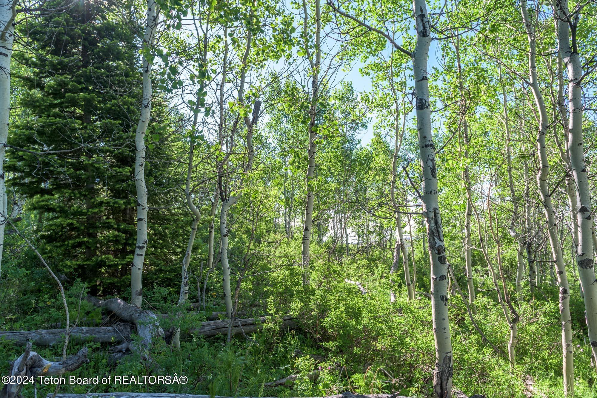 Tbd Carroll Lane Daniel, WY 83115 - Photo 40 of 43 DSC_3971-HDR