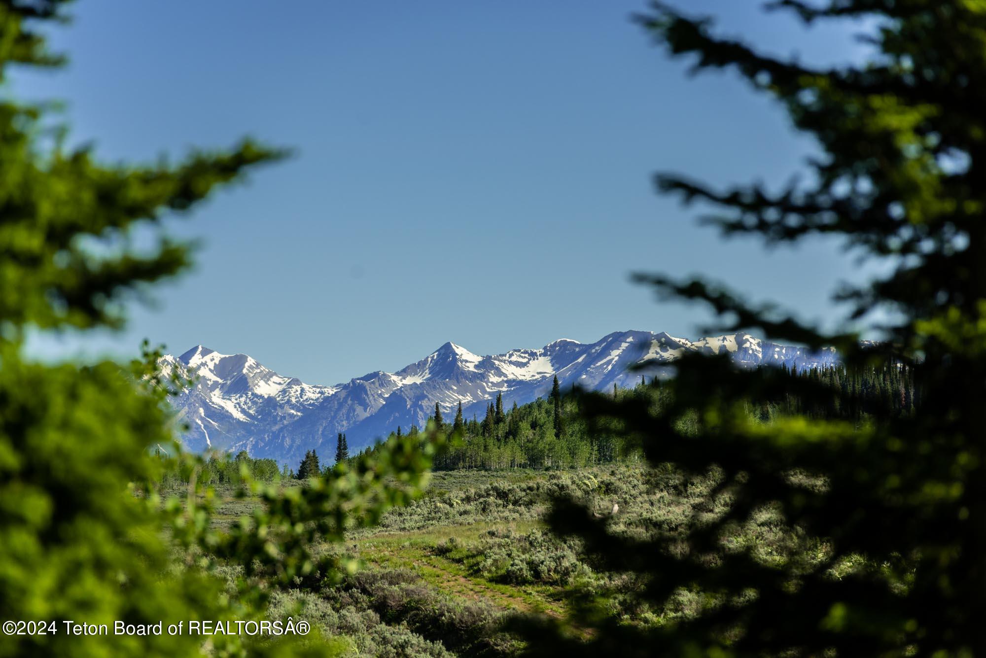 Tbd Carroll Lane Daniel, WY 83115 - Photo 4 of 43 DSC_3994
