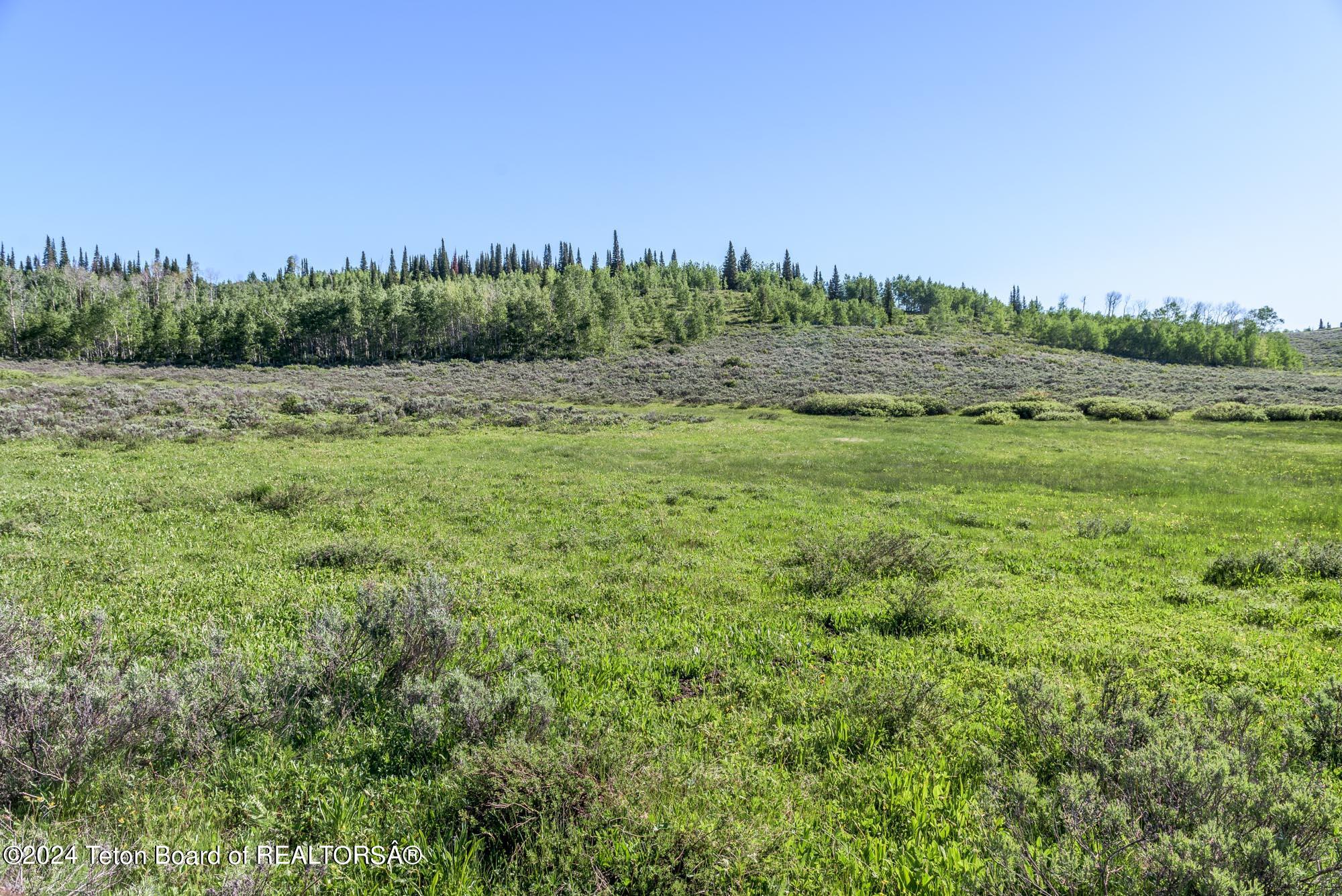 Tbd Carroll Lane Daniel, WY 83115 - Photo 41 of 43 DSC_3918-HDR