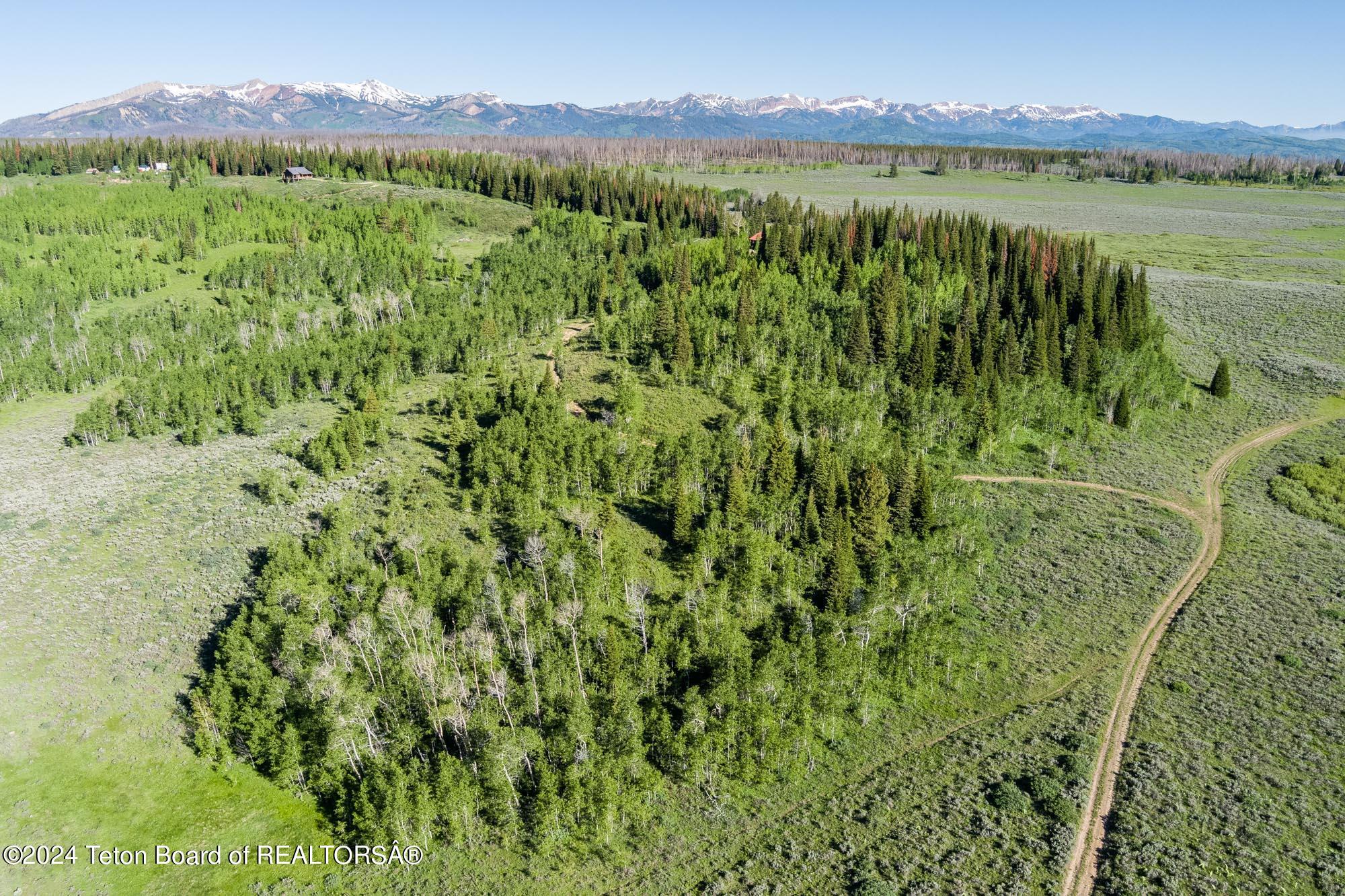 Tbd Carroll Lane Daniel, WY 83115 - Photo 8 of 43 MAX_0268