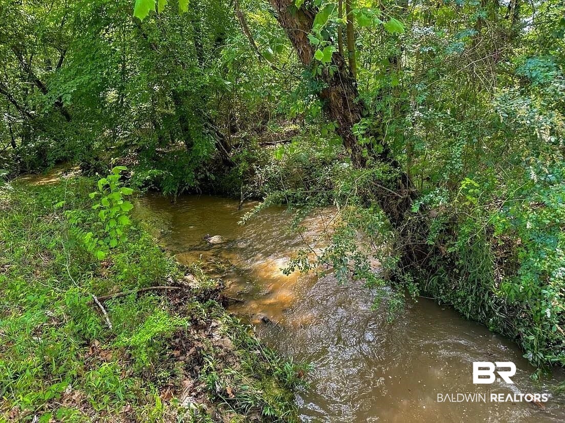 0 Loree Road Evergreen, AL 36401 - Photo 5 of 10 View of nature with a nearby body of water
