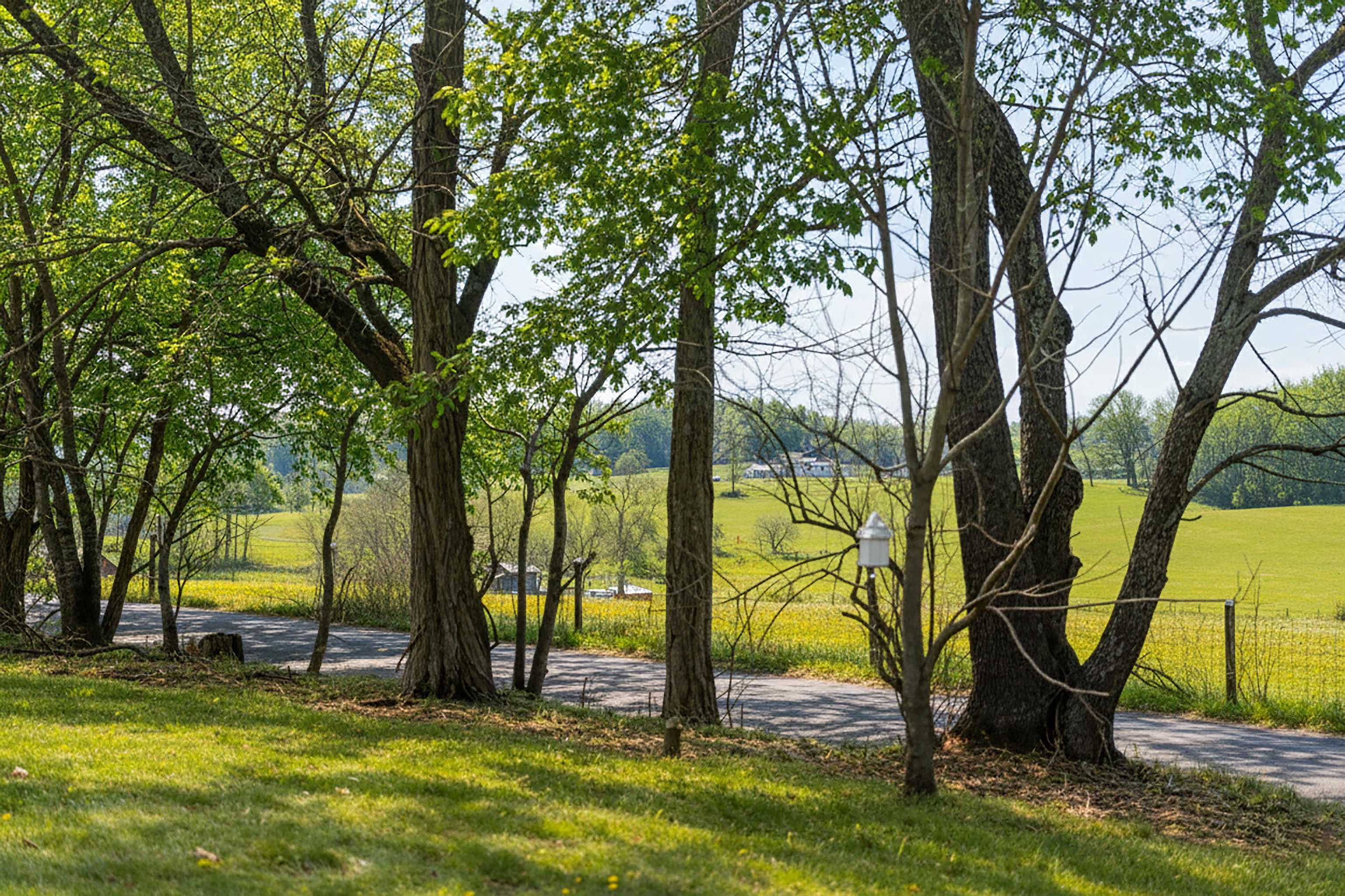 331 Stone Branch Road Staunton, VA 24401 - Photo 29 of 75