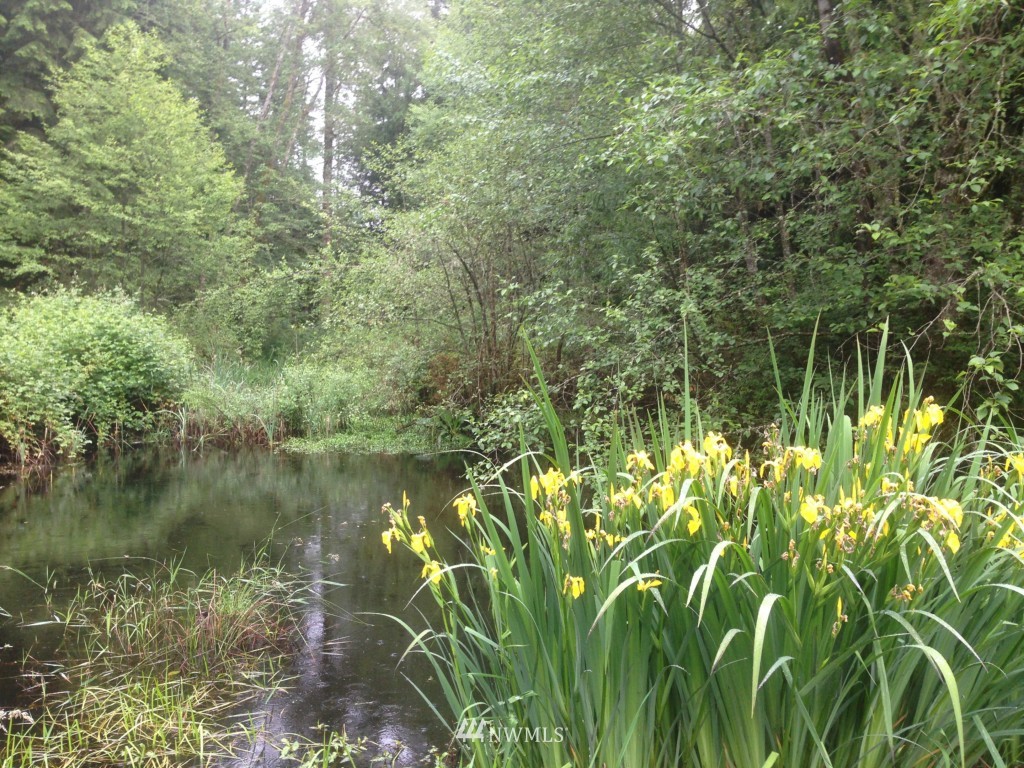 4627 Newberg Road Snohomish, WA 98290 - Photo 18 of 25 Gallery Image 18