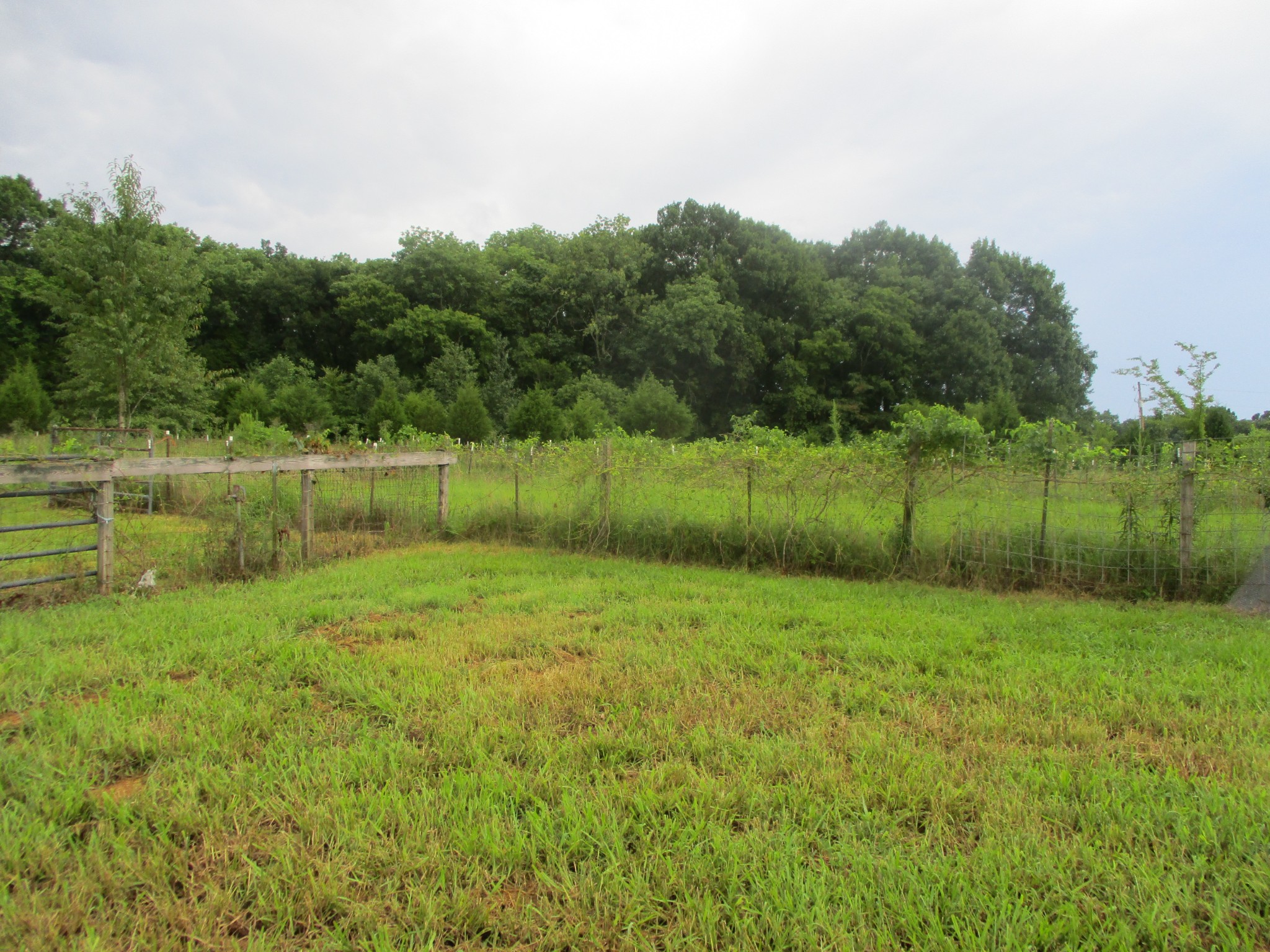 960 Hamilton Chambers Road Lebanon, TN 37087 - Photo 27 of 28