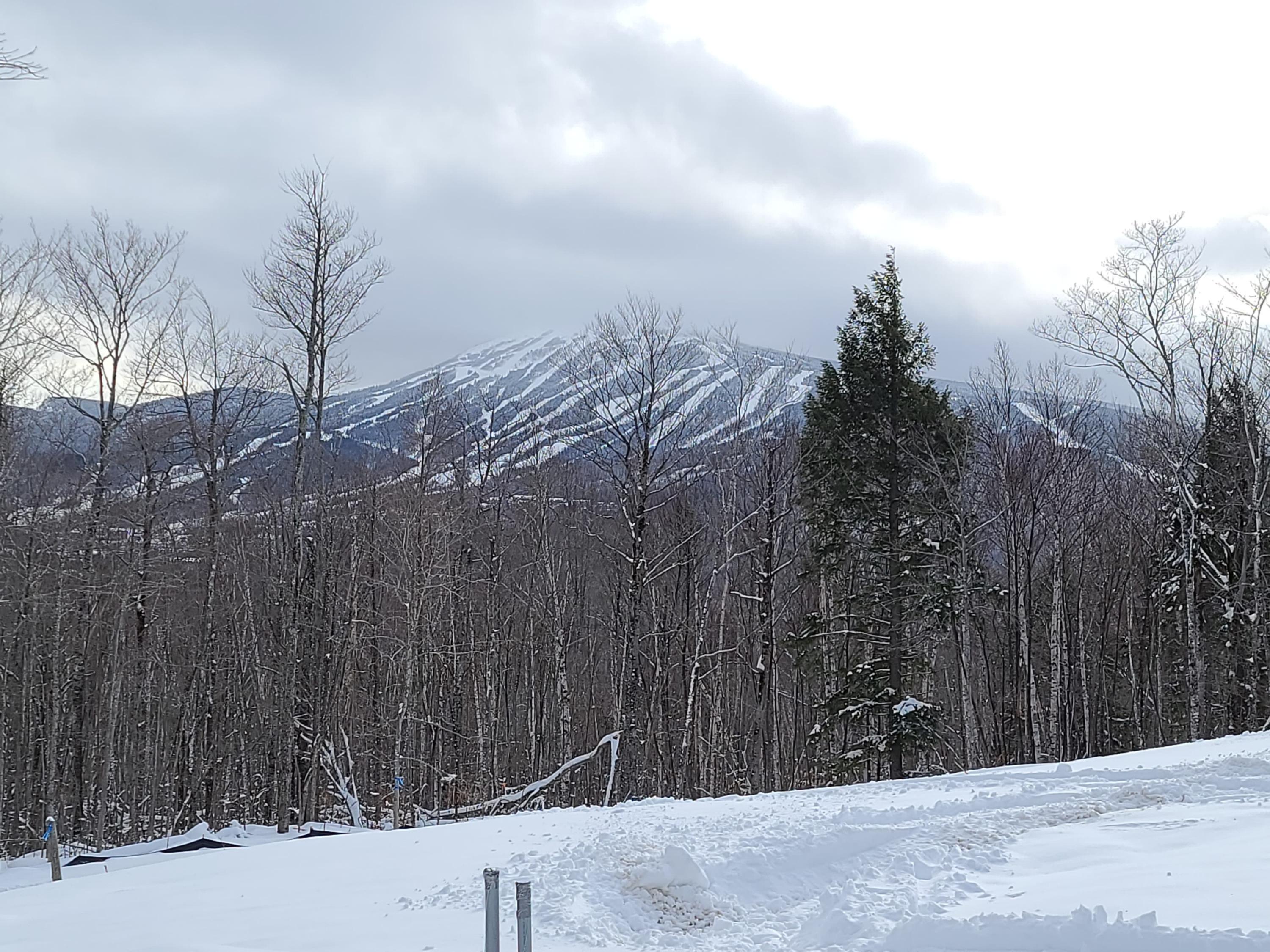 4002 White Road Kingfield, ME 04947 - Photo 1 of 10 4
