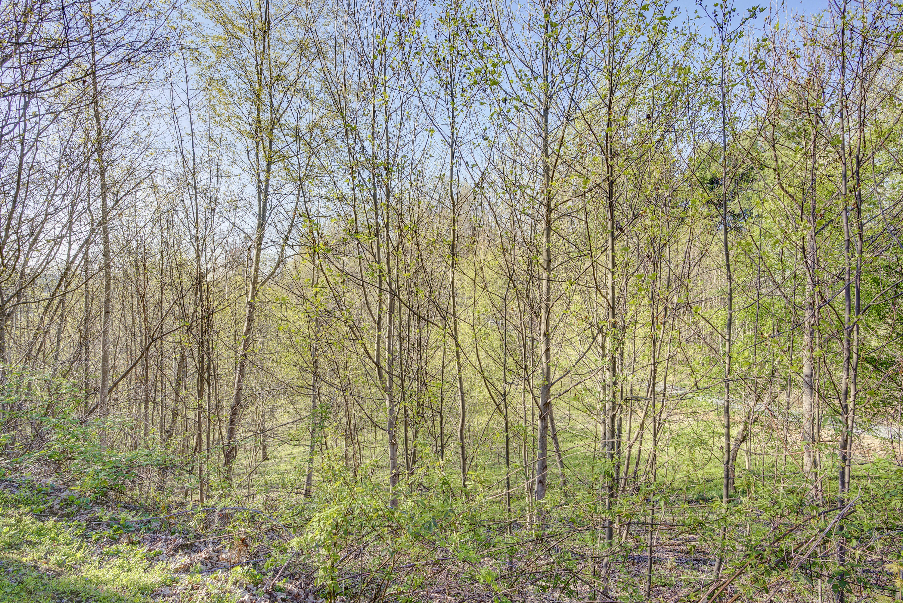 5 Ridgetop Lane, Unit 5 Hampton, TN 37658 - Photo 54 of 55 RidgetopLAND--11