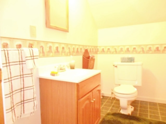 1619 East Madison Road St. Louis, MI 48880 - Photo 14 of 19 1835735-13.JPG
