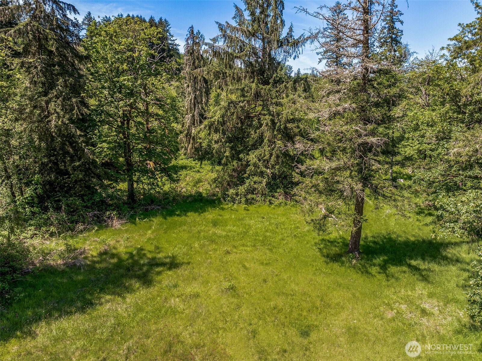 27112 Orville Road East Orting, WA 98360 - Photo 15 of 21