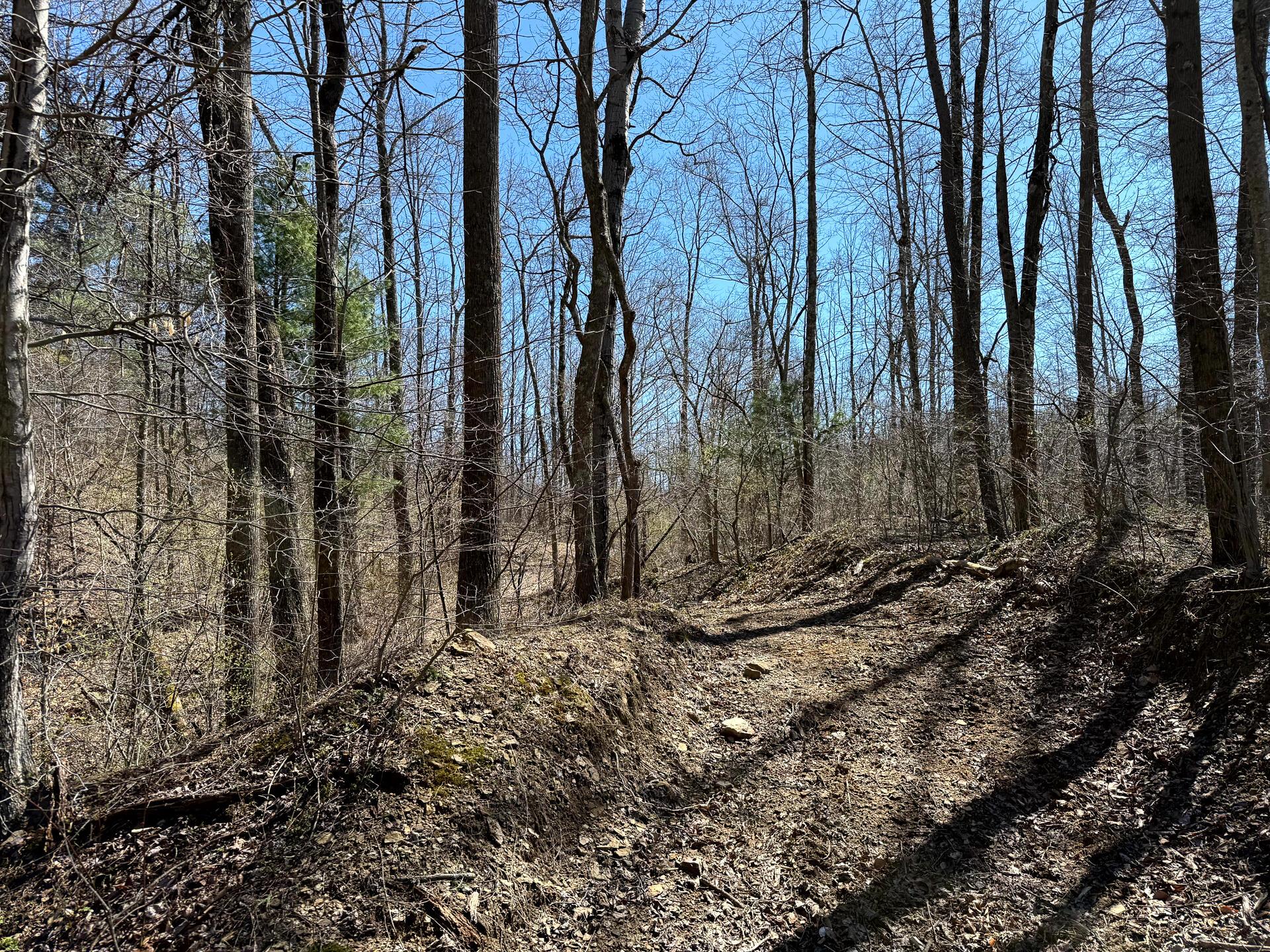 0 Dutch Ridge Road Southeast, Unit WOODS TURKEY RUN TRACT 6) New Lexington, OH 43764 - Photo 15 of 31 CT-15