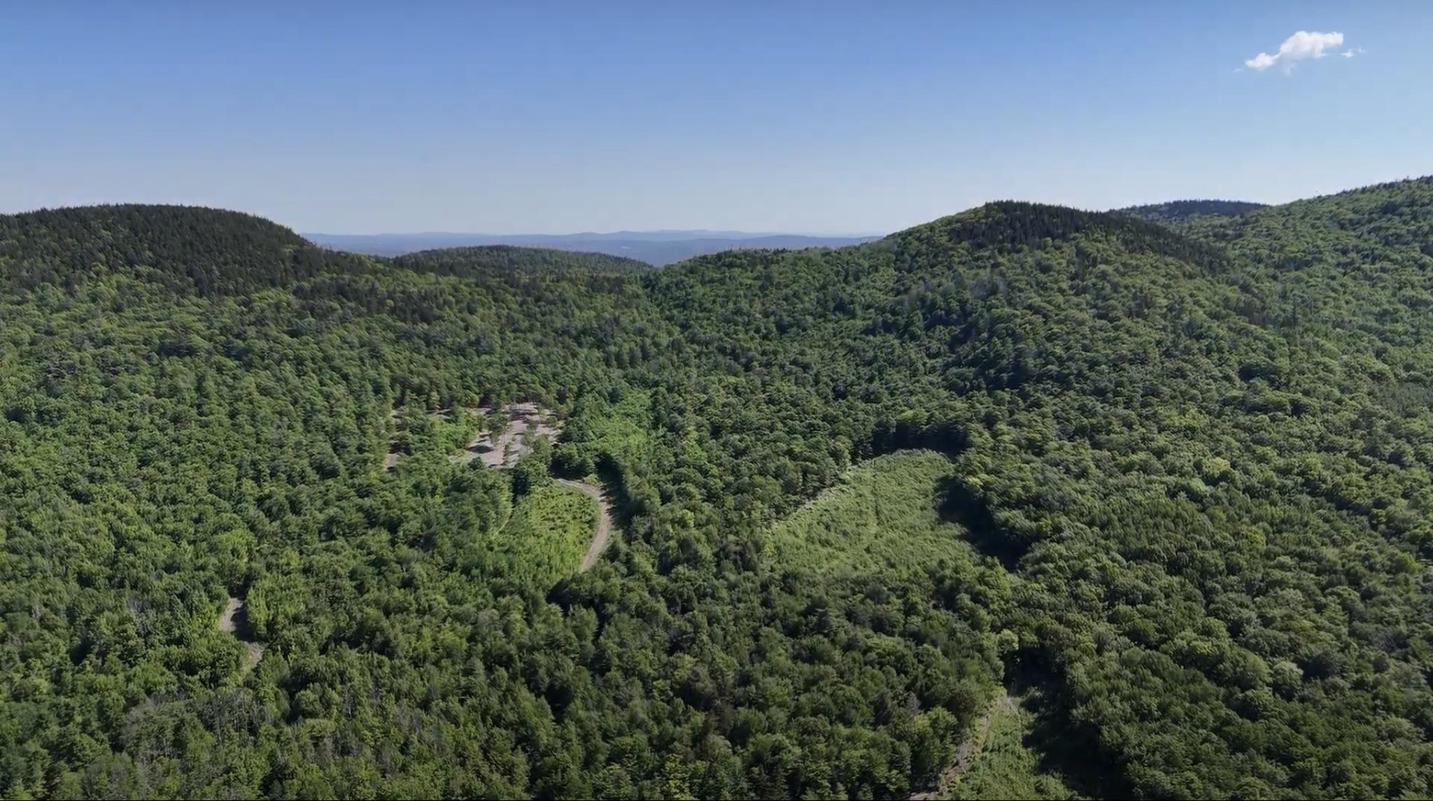 175 Glidden Road Gilford, NH 03249 - Photo 12 of 13