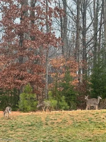 $449,900 | 1117 Magenta Way, Kernersville, NC 27284