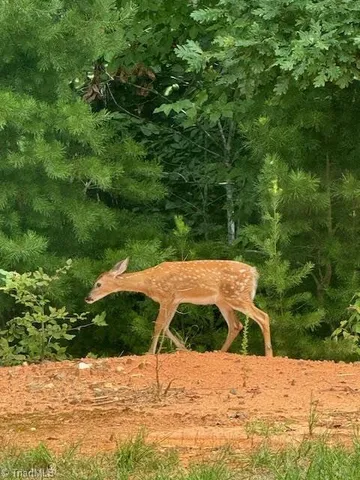 $449,900 | 1117 Magenta Way, Kernersville, NC 27284