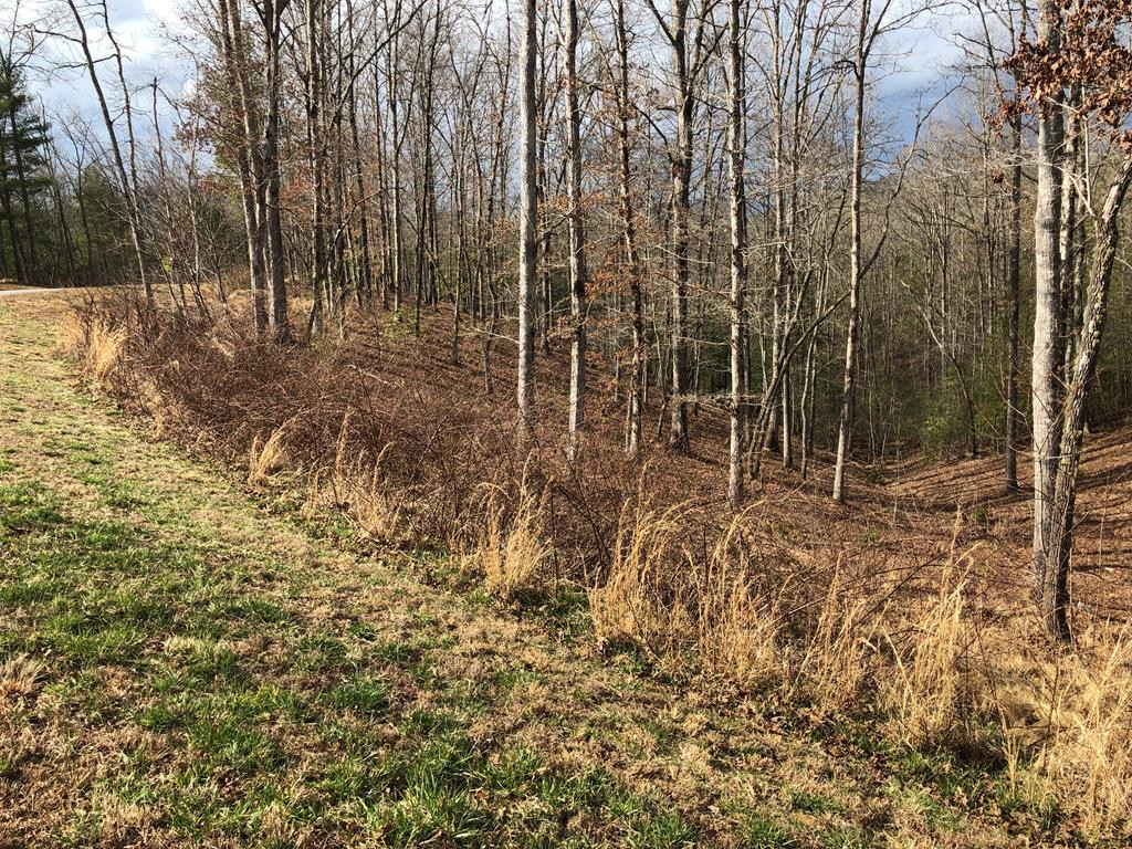 Lot #94 River Mountain Road Murphy, NC 28906 - Photo 9 of 12