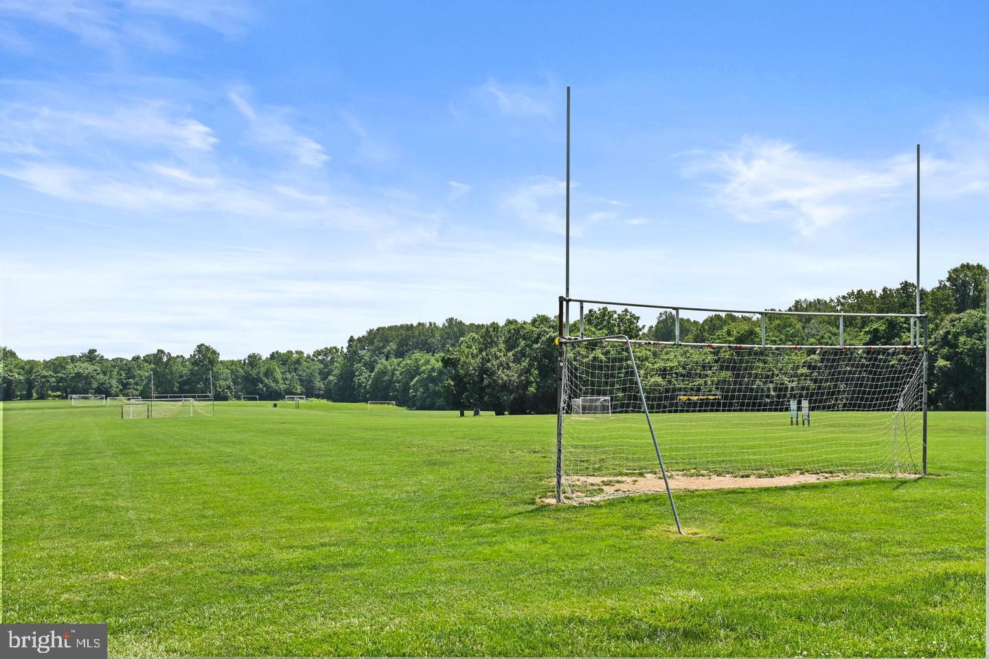 11081 Pelham Manor Place Reston, VA 20194 - Photo 67 of 99 Expansive green field for play.