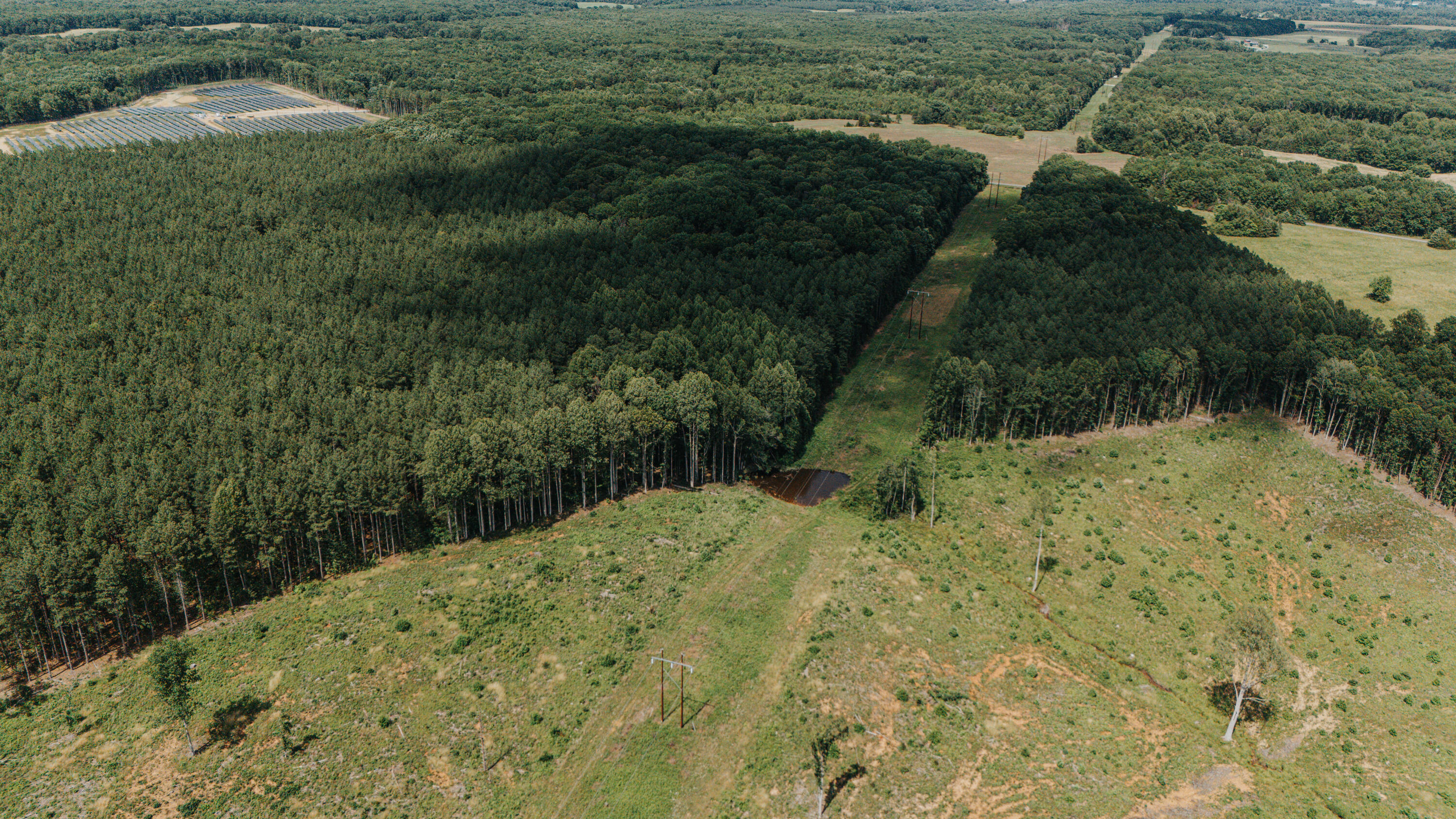 0 Holly Tree Drive Pamplin, VA 23958 - Photo 3 of 8 a view of a yard