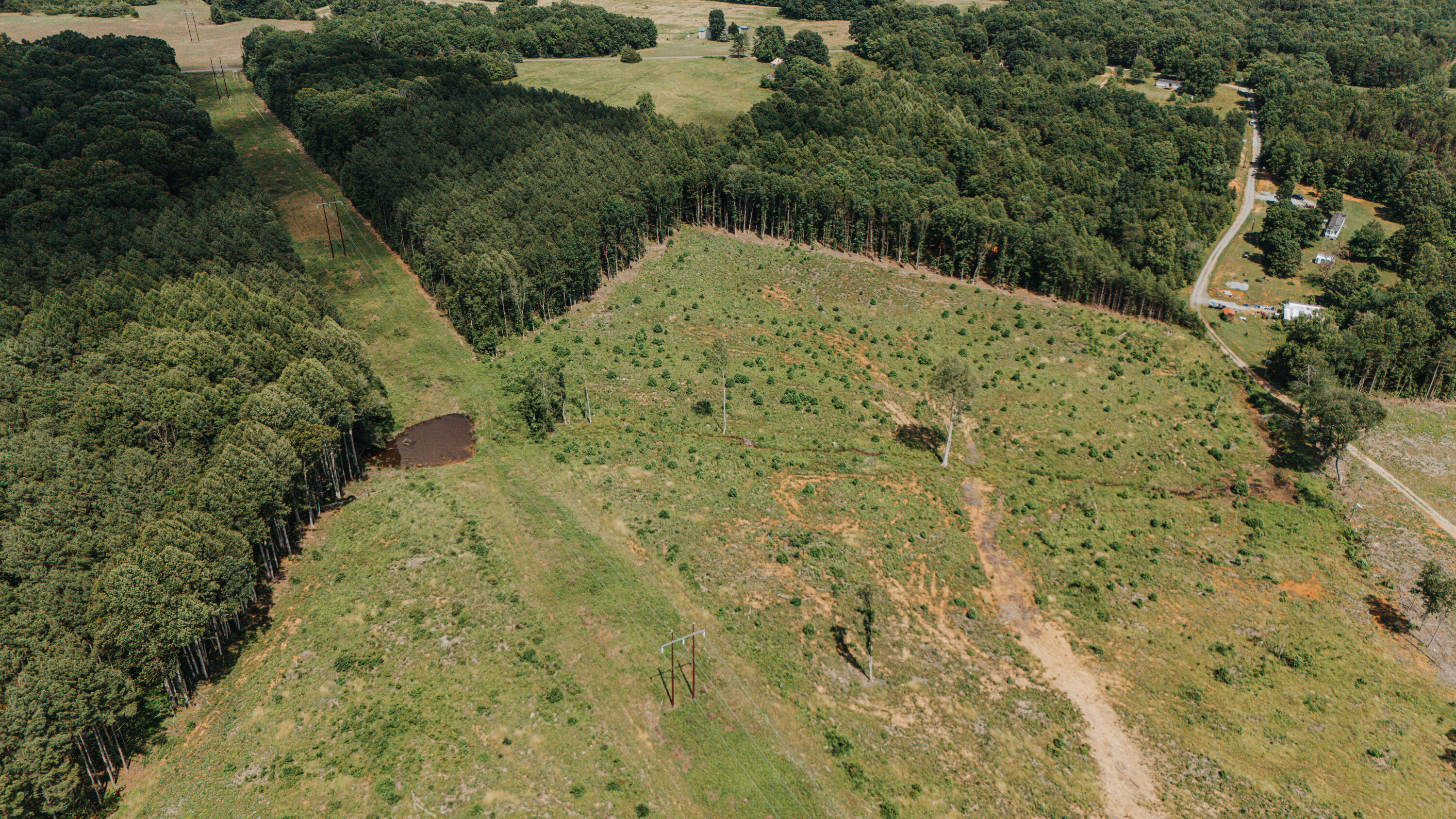 0 Holly Tree Drive Pamplin, VA 23958 - Photo 5 of 8 a view of a yard with plants