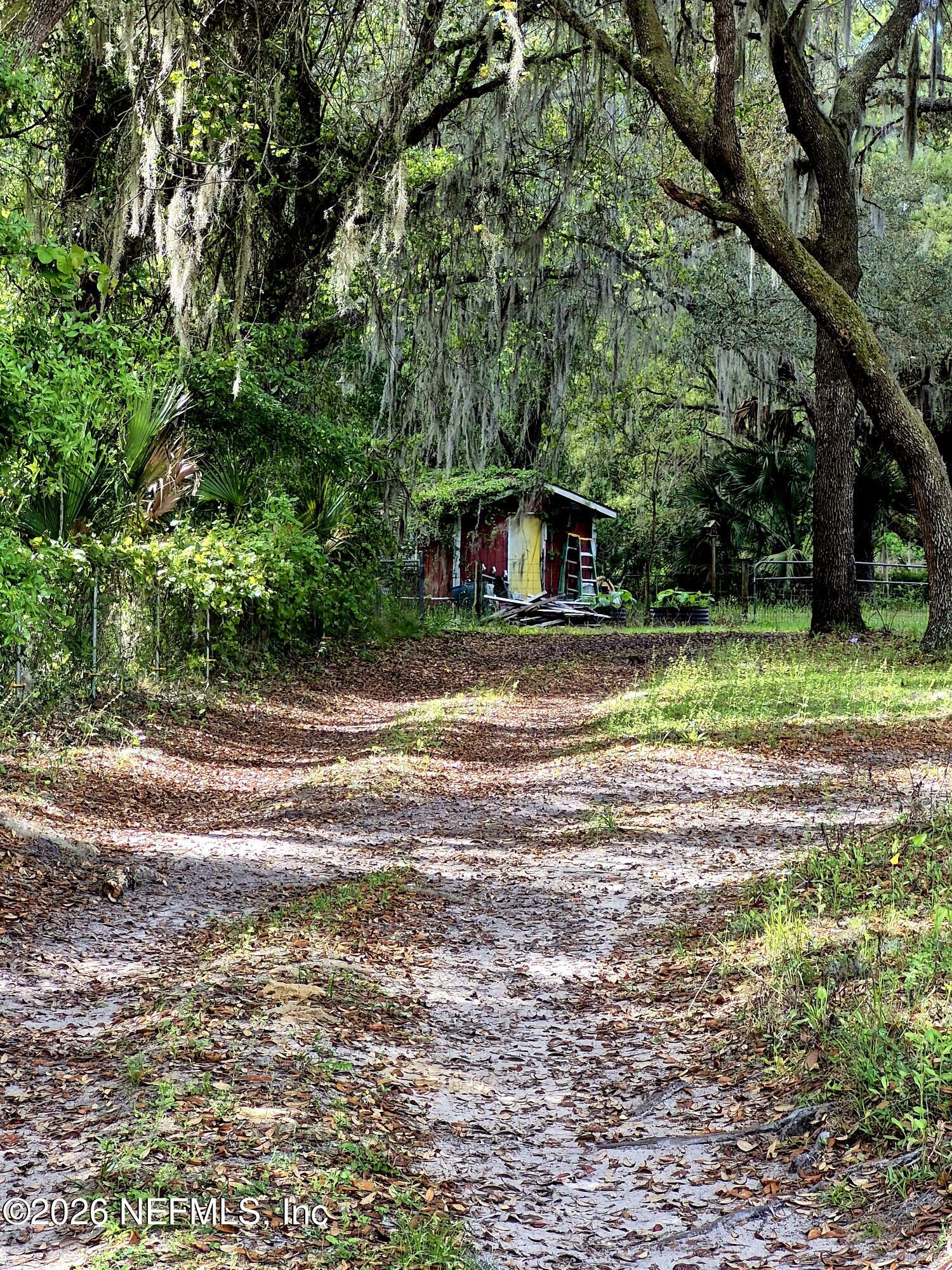 252 Georgetown Shortcut Road Georgetown, FL 32139 - Photo 3 of 8 34310