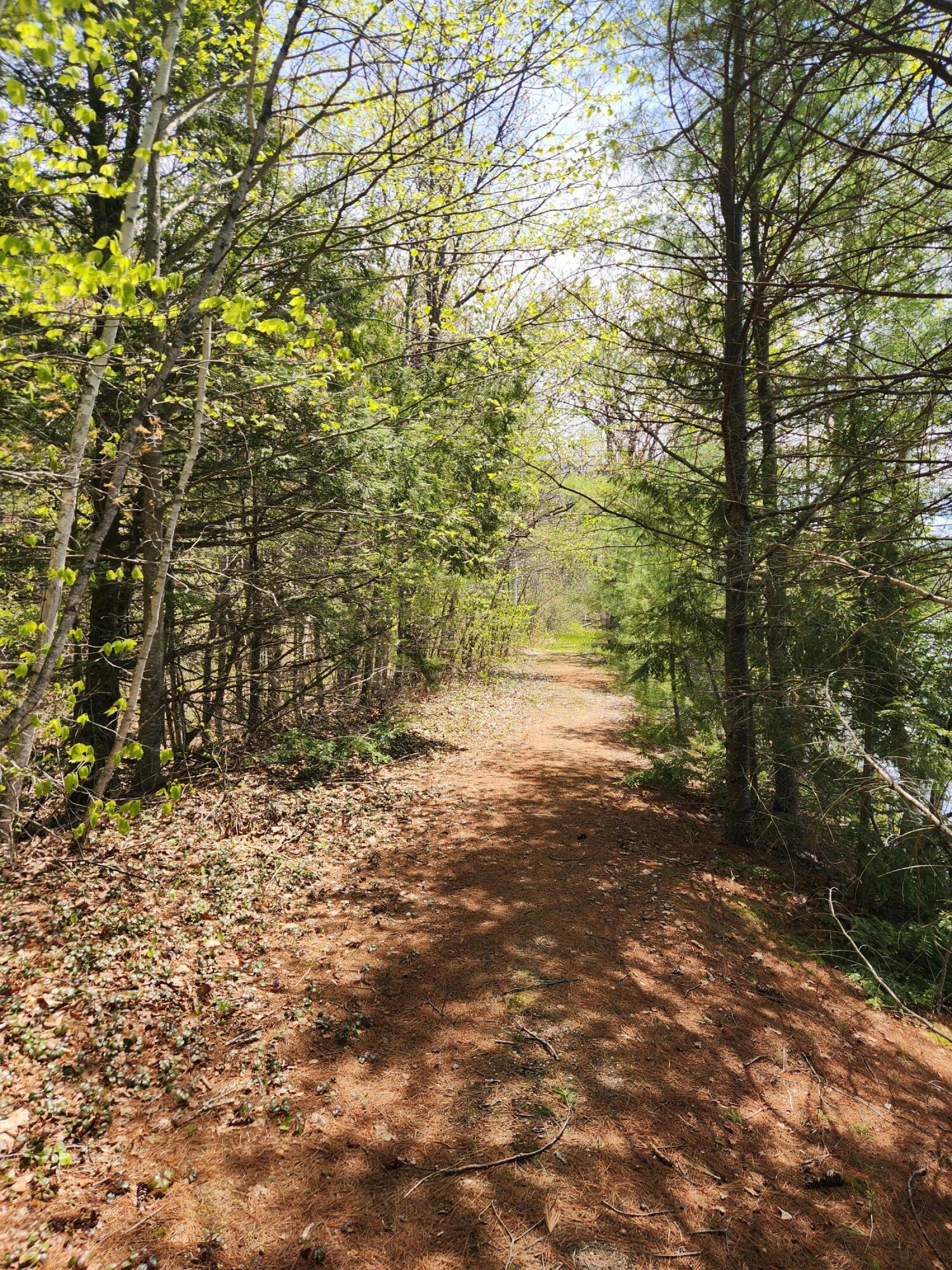 286 Staples Hill Road Canton, ME 04221 - Photo 62 of 118 20260516_130841