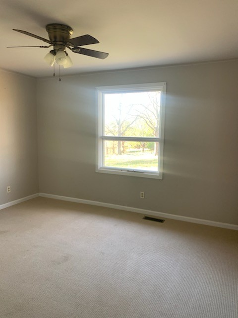 864 Tom Osborne Road Columbia, TN 38401 - Photo 21 of 36