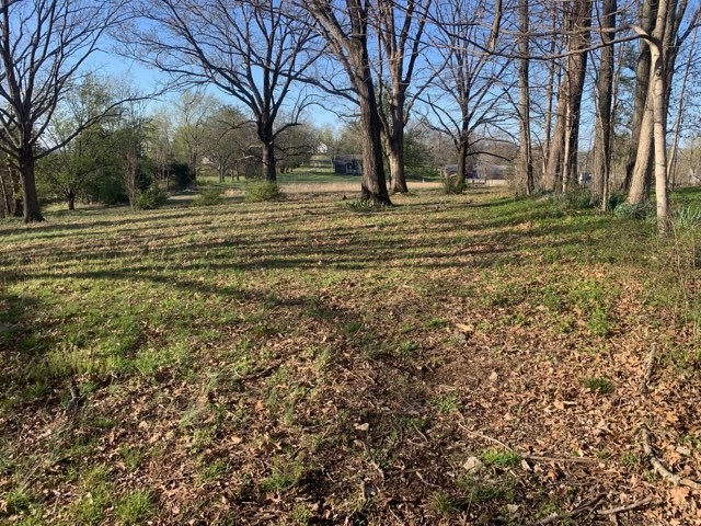 864 Tom Osborne Road Columbia, TN 38401 - Photo 30 of 36