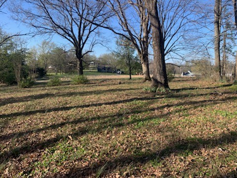 864 Tom Osborne Road Columbia, TN 38401 - Photo 31 of 36