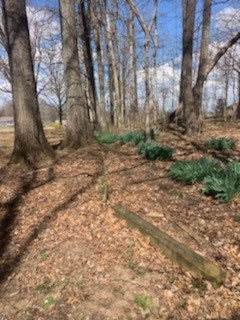 864 Tom Osborne Road Columbia, TN 38401 - Photo 33 of 36