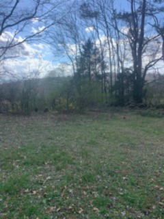 864 Tom Osborne Road Columbia, TN 38401 - Photo 36 of 36