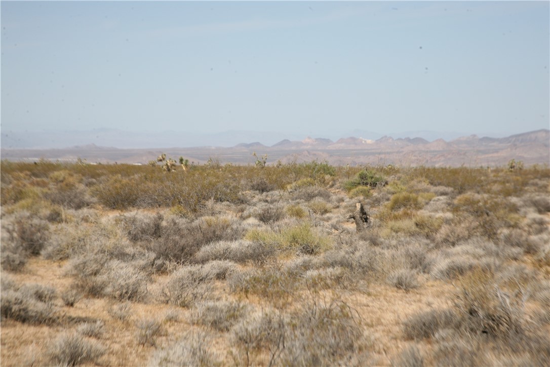 245-18-266 Alan Road Yucca, AZ 86438 - Photo 12 of 54